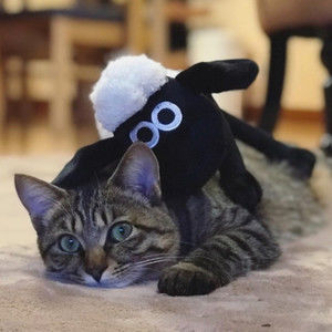 Meet your Posher, Ulla